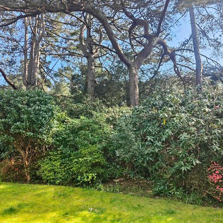 Peaceful Getaway In Forested Park Bornemouth Extérieur photo