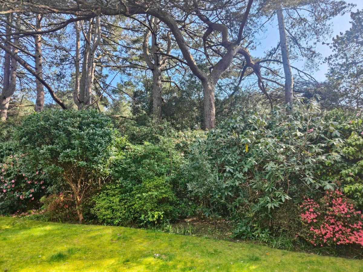 Peaceful Getaway In Forested Park Bornemouth Extérieur photo